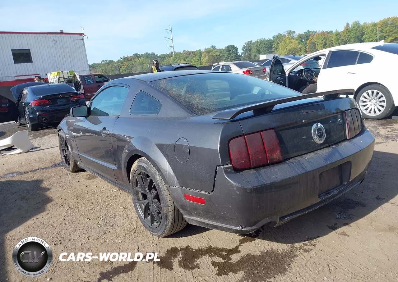 2007 Ford Mustang Gt Deluxe-Gt Premium VIN:1ZVHT82H875235865 - 3