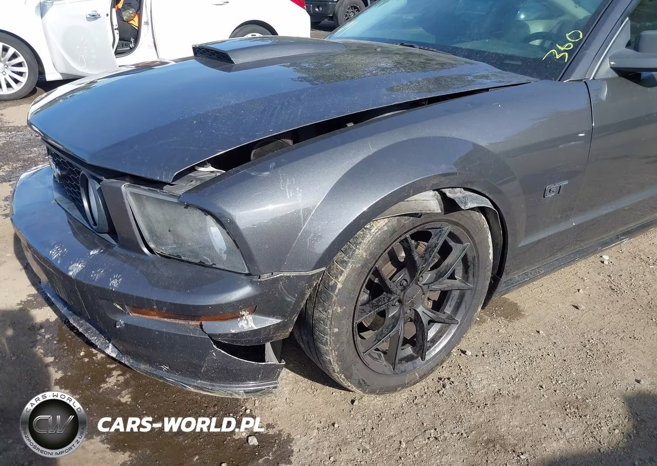 2007 Ford Mustang Gt Deluxe-Gt Premium VIN:1ZVHT82H875235865 - 6