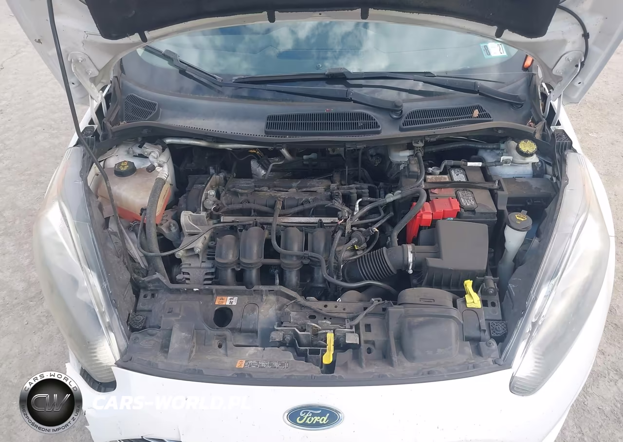 2016 Ford Fiesta Se VIN:3FADP4BJ3GM182896 - 10