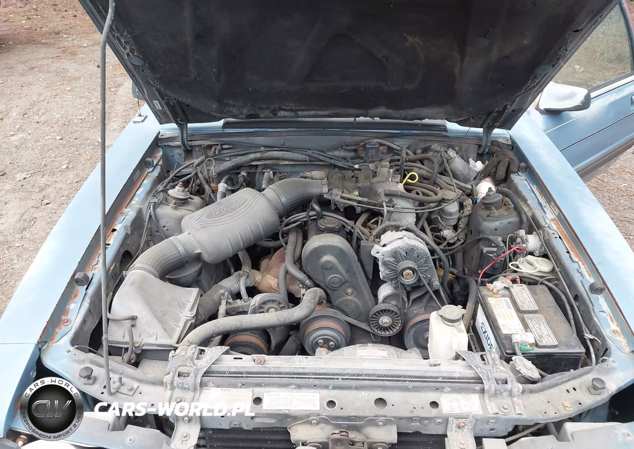 1989 Ford Mustang Lx VIN:1FABP41A1KF311039 - 10