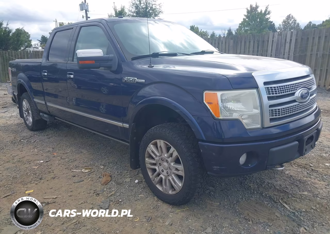 2009 Ford F-150 Fx4-King Ranch-Lariat-Platinum-Xl-Xlt