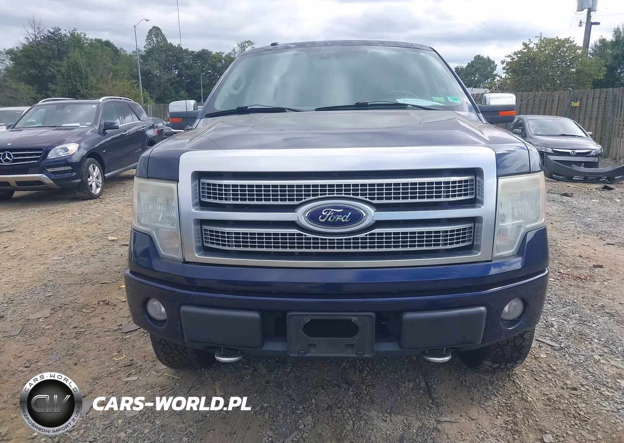 2009 Ford F-150 Fx4-King Ranch-Lariat-Platinum-Xl-Xlt VIN:1FTPW14V19FA43877 - 12