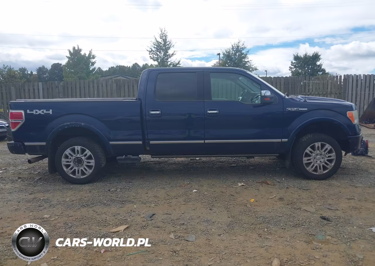 2009 Ford F-150 Fx4-King Ranch-Lariat-Platinum-Xl-Xlt VIN:1FTPW14V19FA43877 - 13