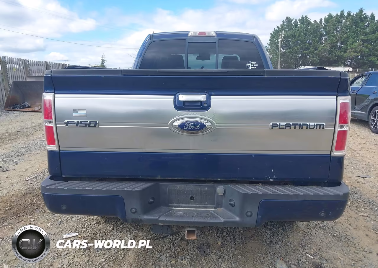 2009 Ford F-150 Fx4-King Ranch-Lariat-Platinum-Xl-Xlt VIN:1FTPW14V19FA43877 - 16