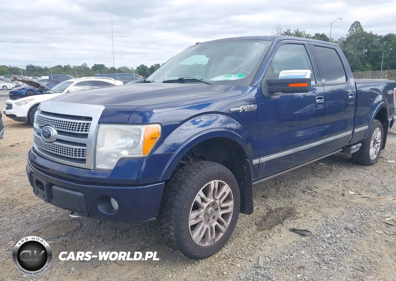 2009 Ford F-150 Fx4-King Ranch-Lariat-Platinum-Xl-Xlt VIN:1FTPW14V19FA43877 - 2