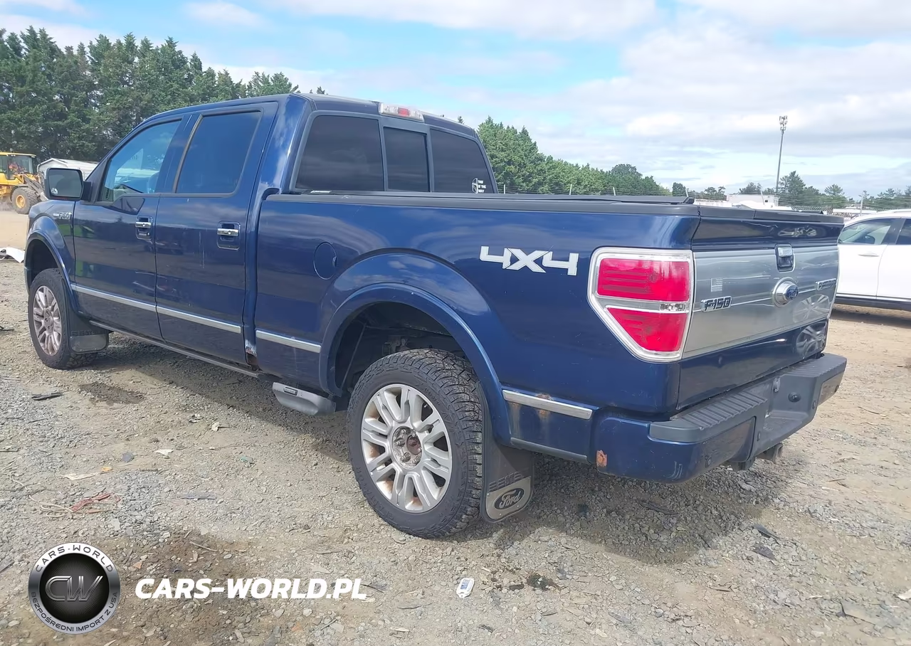 2009 Ford F-150 Fx4-King Ranch-Lariat-Platinum-Xl-Xlt VIN:1FTPW14V19FA43877 - 3