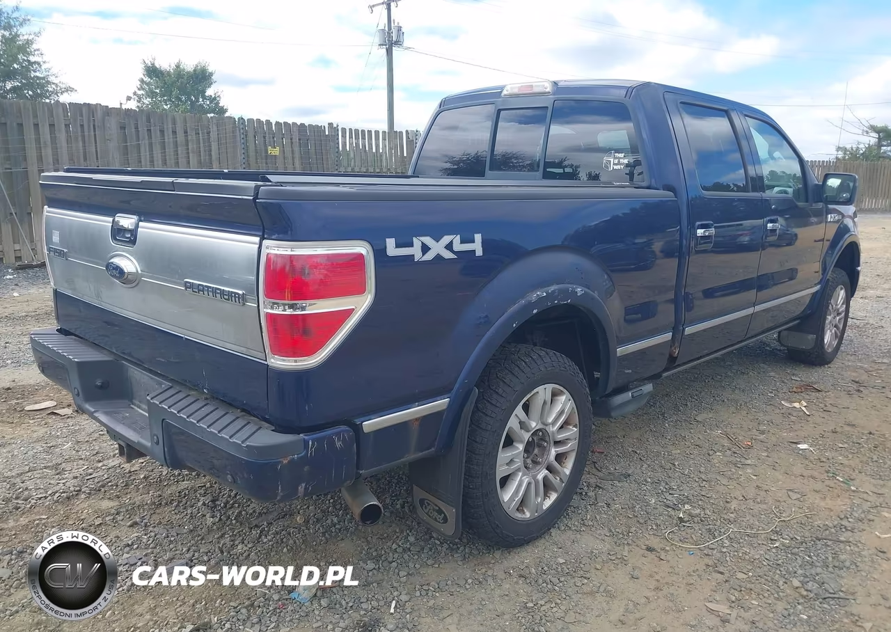 2009 Ford F-150 Fx4-King Ranch-Lariat-Platinum-Xl-Xlt VIN:1FTPW14V19FA43877 - 4