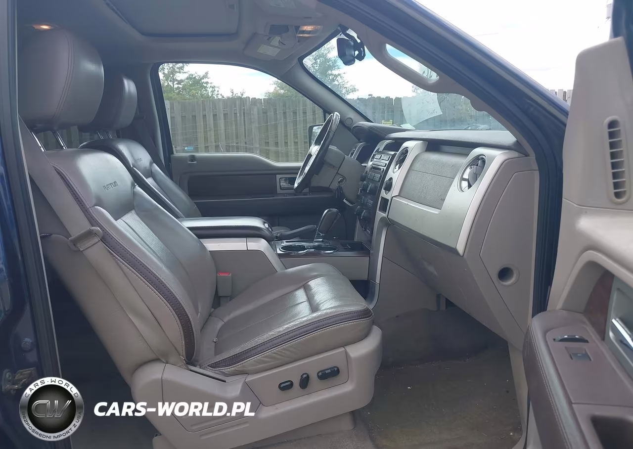 2009 Ford F-150 Fx4-King Ranch-Lariat-Platinum-Xl-Xlt VIN:1FTPW14V19FA43877 - 5
