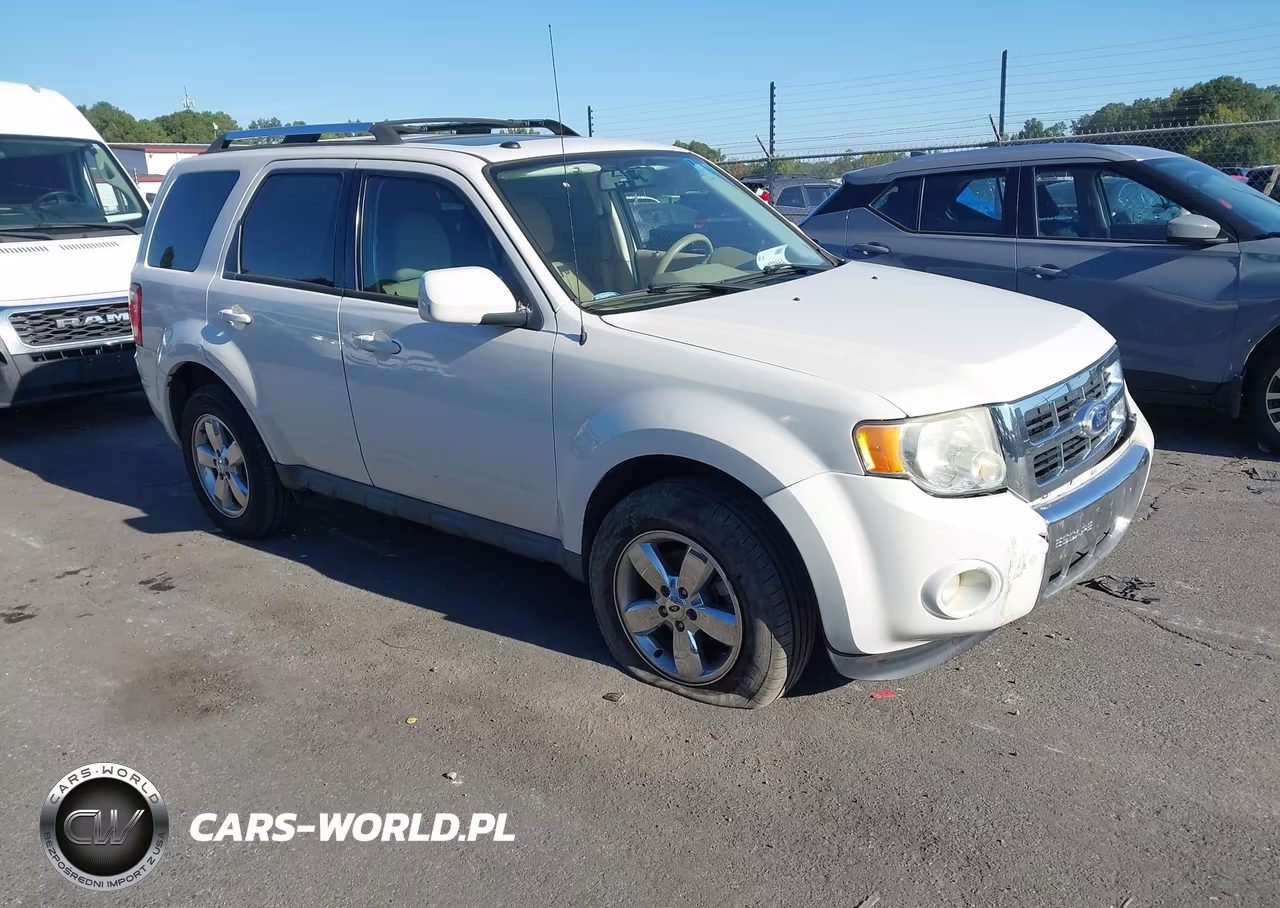 2010 Ford Escape Limited