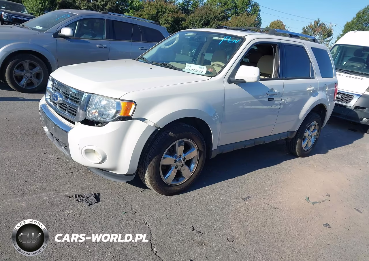 2010 Ford Escape Limited VIN:1FMCU0E73AKC87813 - 2