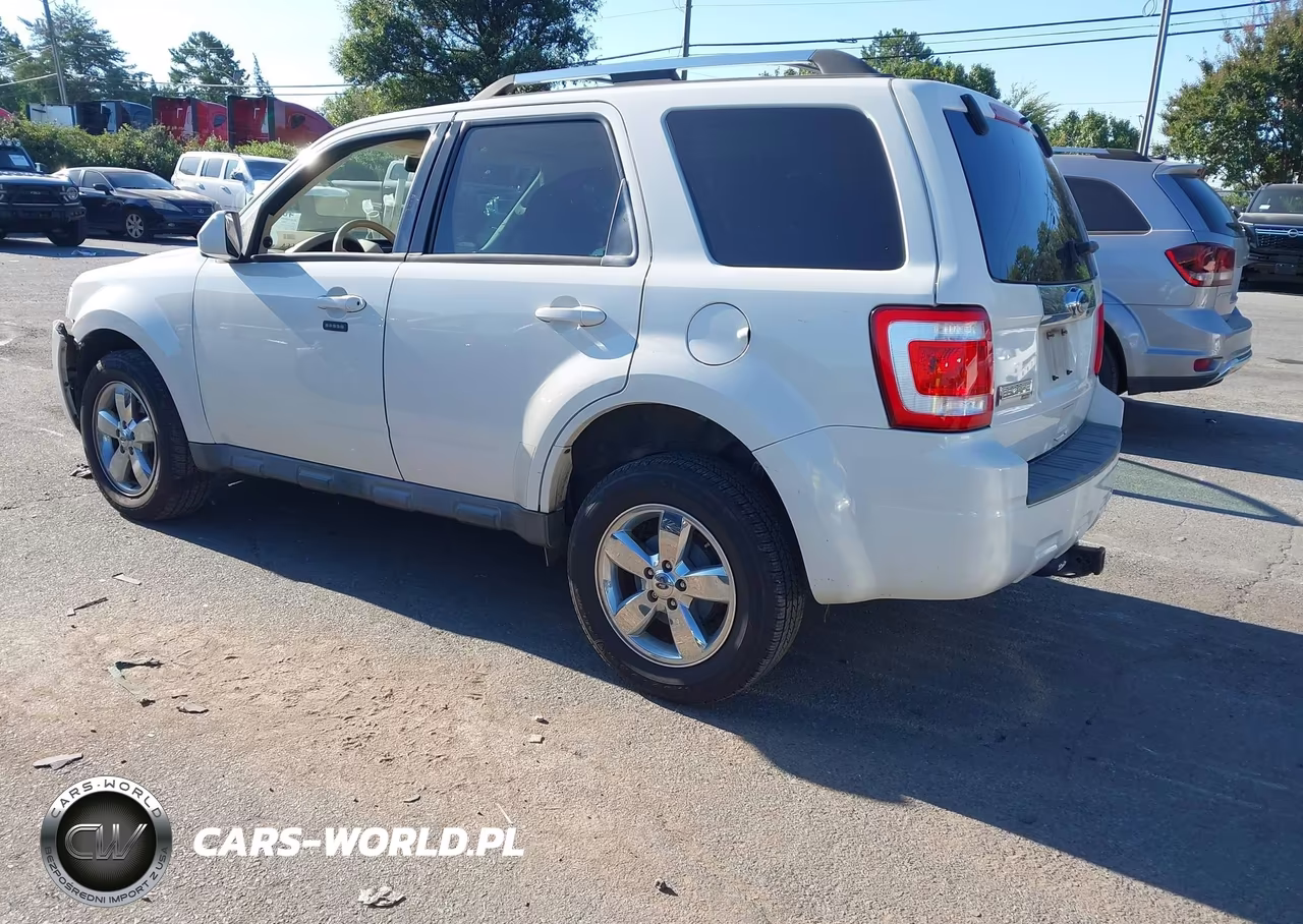 2010 Ford Escape Limited VIN:1FMCU0E73AKC87813 - 3