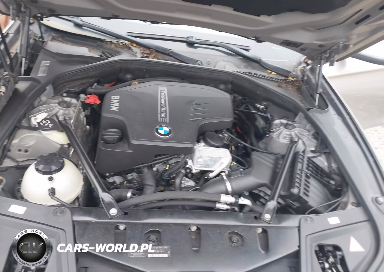 2014 BMW 528I xDrive VIN:WBA5A7C55ED613084 - 10