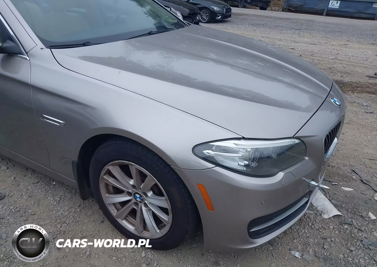 2014 BMW 528I xDrive VIN:WBA5A7C55ED613084 - 12
