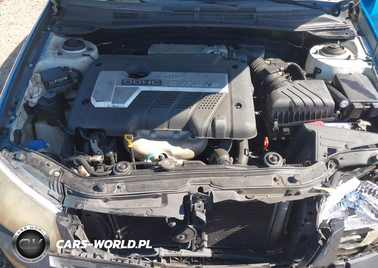 2009 Kia Spectra Ex VIN:KNAFE221595620918 - 10