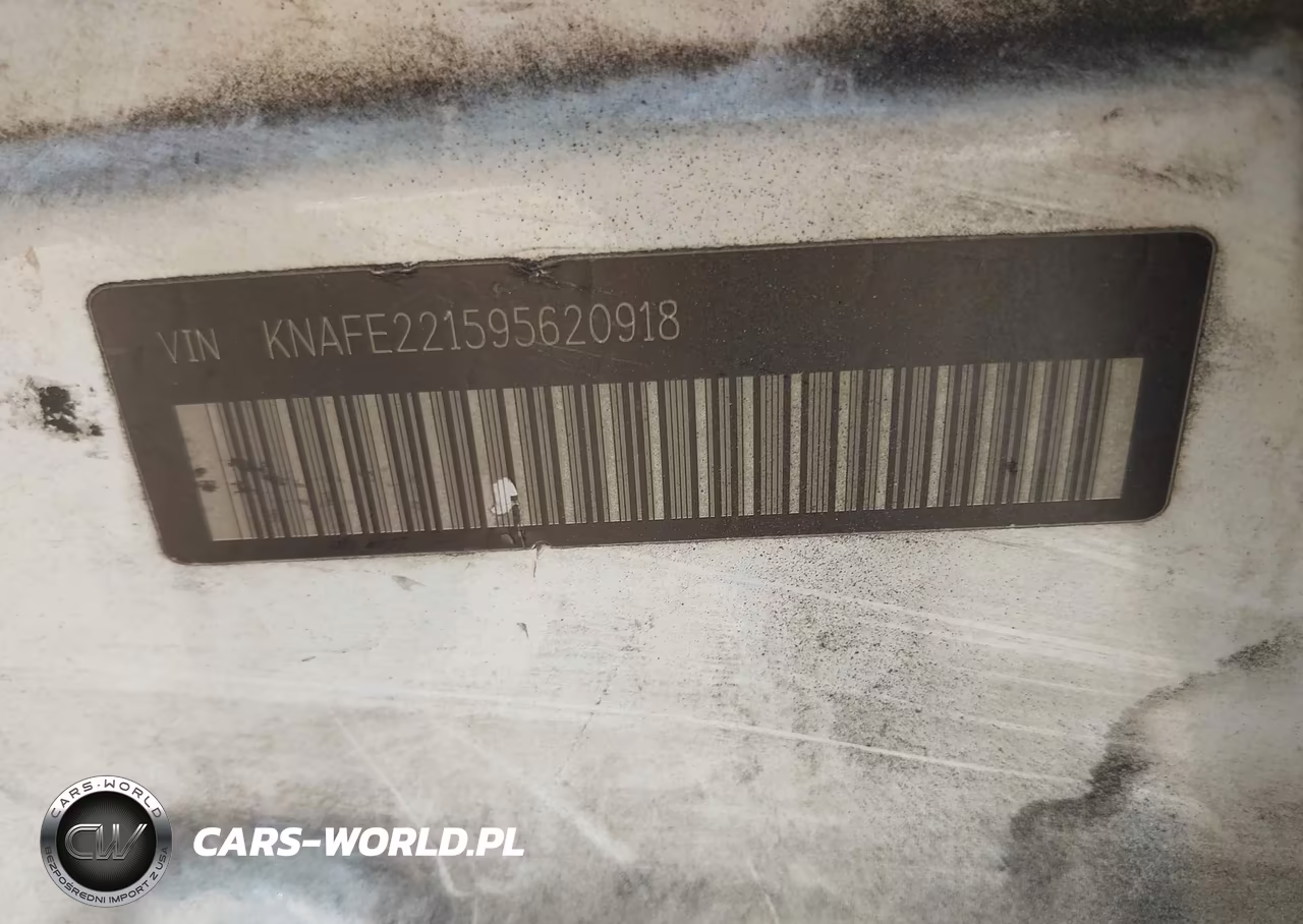 2009 Kia Spectra Ex VIN:KNAFE221595620918 - 9