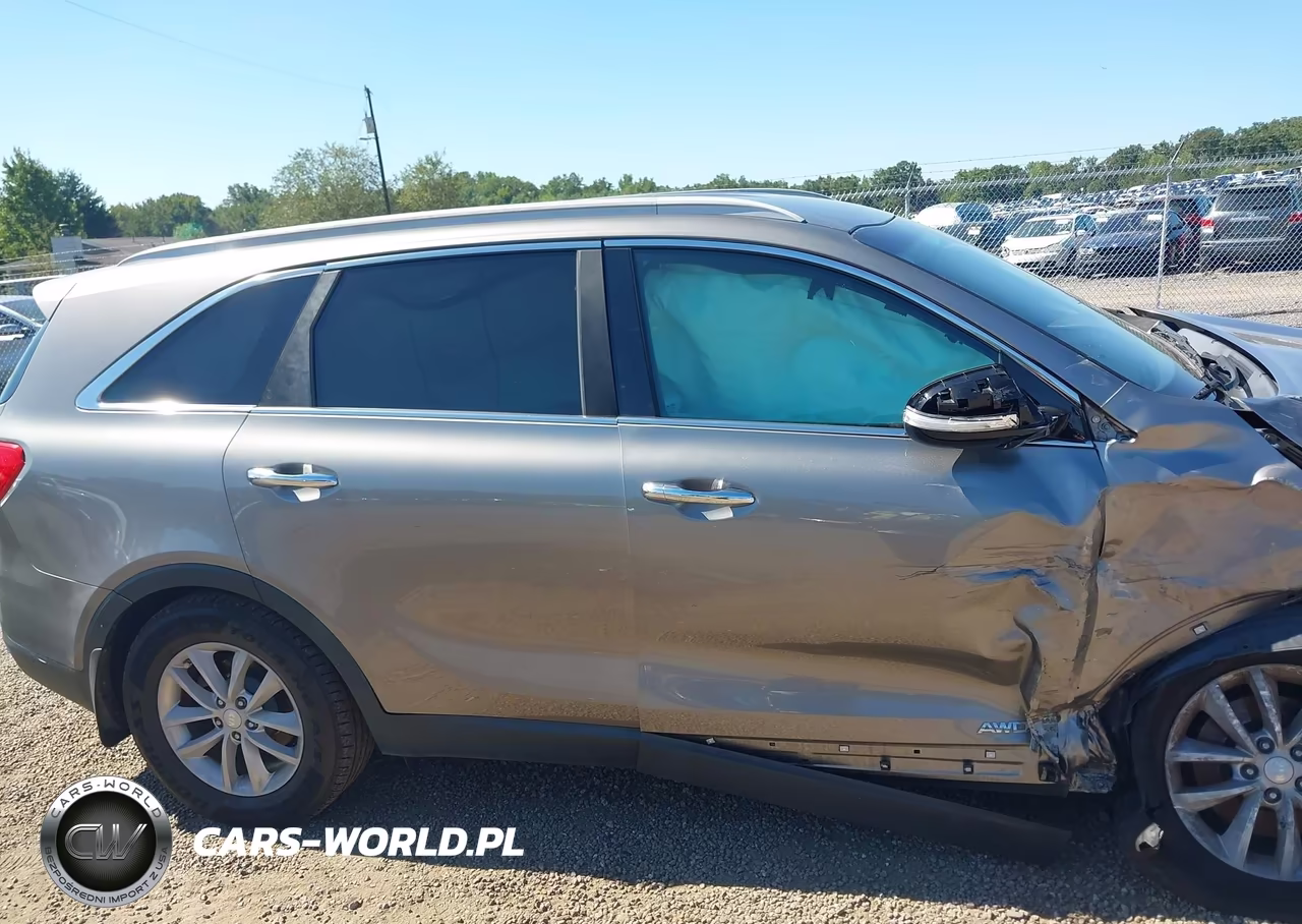 2016 Kia Sorento 3.3L Lx VIN:5XYPGDA56GG178589 - 13