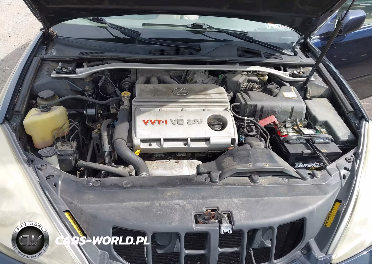 2002 Lexus Es 300 VIN:JTHBF30G120073966 - 10