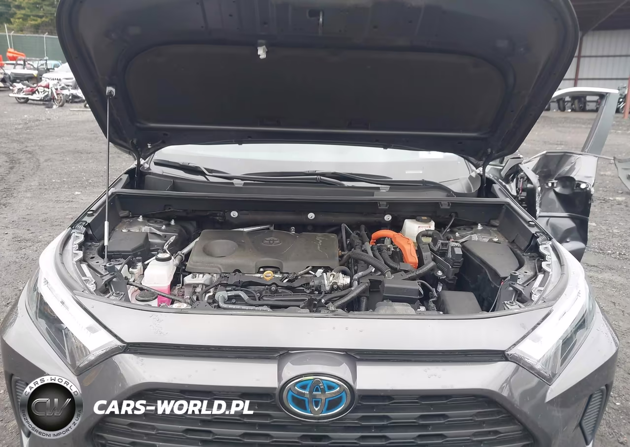 2024 Toyota Rav4 Hybrid Xle VIN:2T3RWRFV9RW248575 - 10