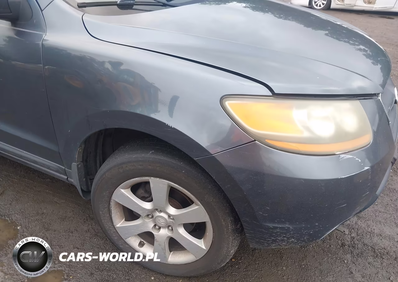 2009 Hyundai Santa Fe Limited VIN:5NMSH13E99H264555 - 6