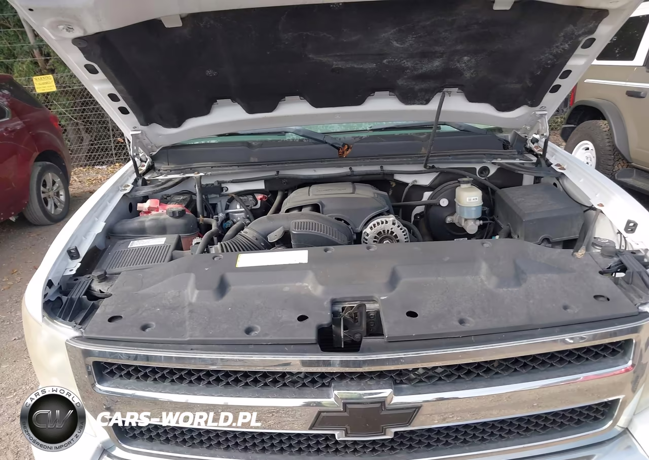 2009 Chevrolet Silverado 1500 Work Truck VIN:1GCEC19C49Z117377 - 10