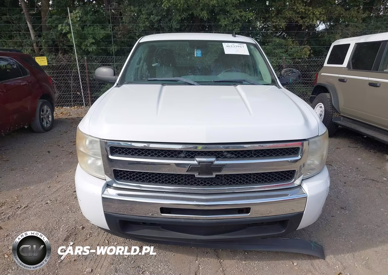 2009 Chevrolet Silverado 1500 Work Truck VIN:1GCEC19C49Z117377 - 12