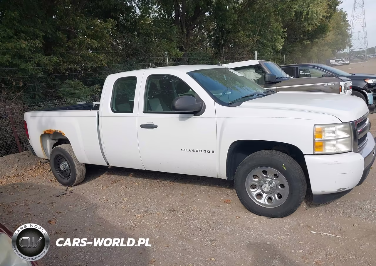 2009 Chevrolet Silverado 1500 Work Truck VIN:1GCEC19C49Z117377 - 13