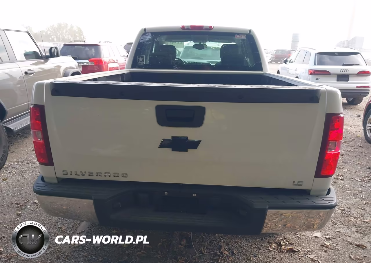 2009 Chevrolet Silverado 1500 Work Truck VIN:1GCEC19C49Z117377 - 16