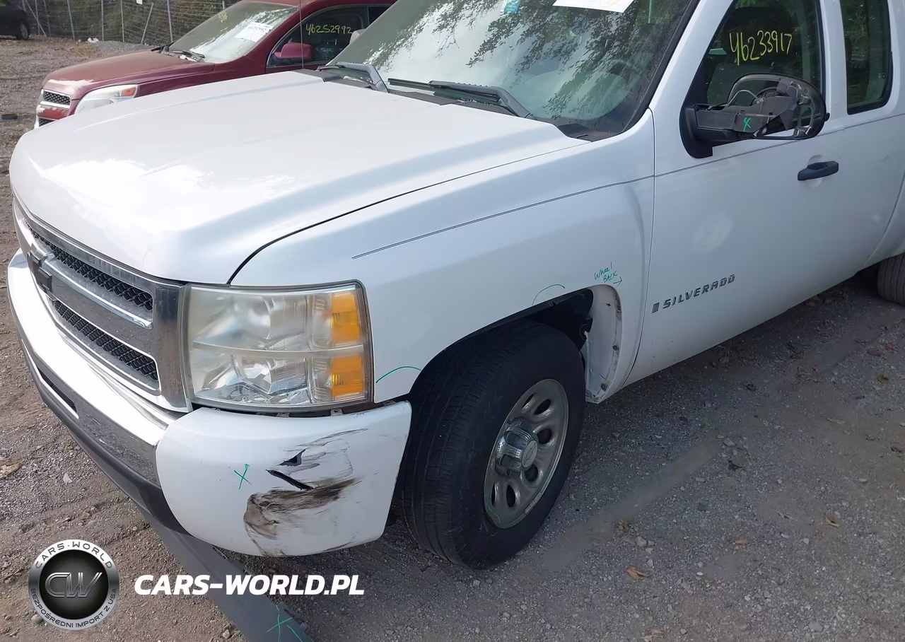 2009 Chevrolet Silverado 1500 Work Truck VIN:1GCEC19C49Z117377 - 6