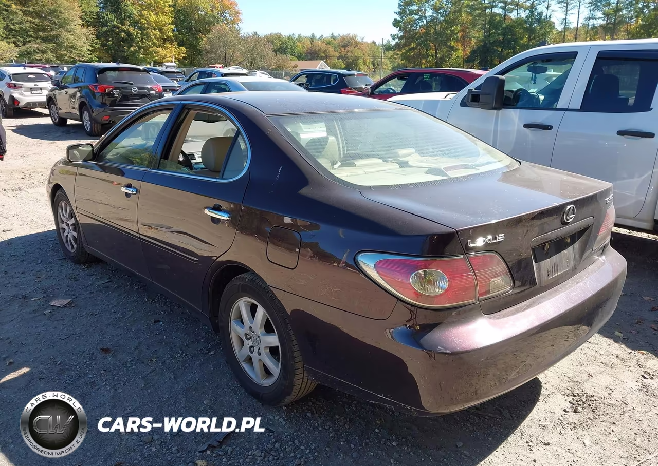 2004 Lexus Es 330 VIN:JTHBA30G845008648 - 3