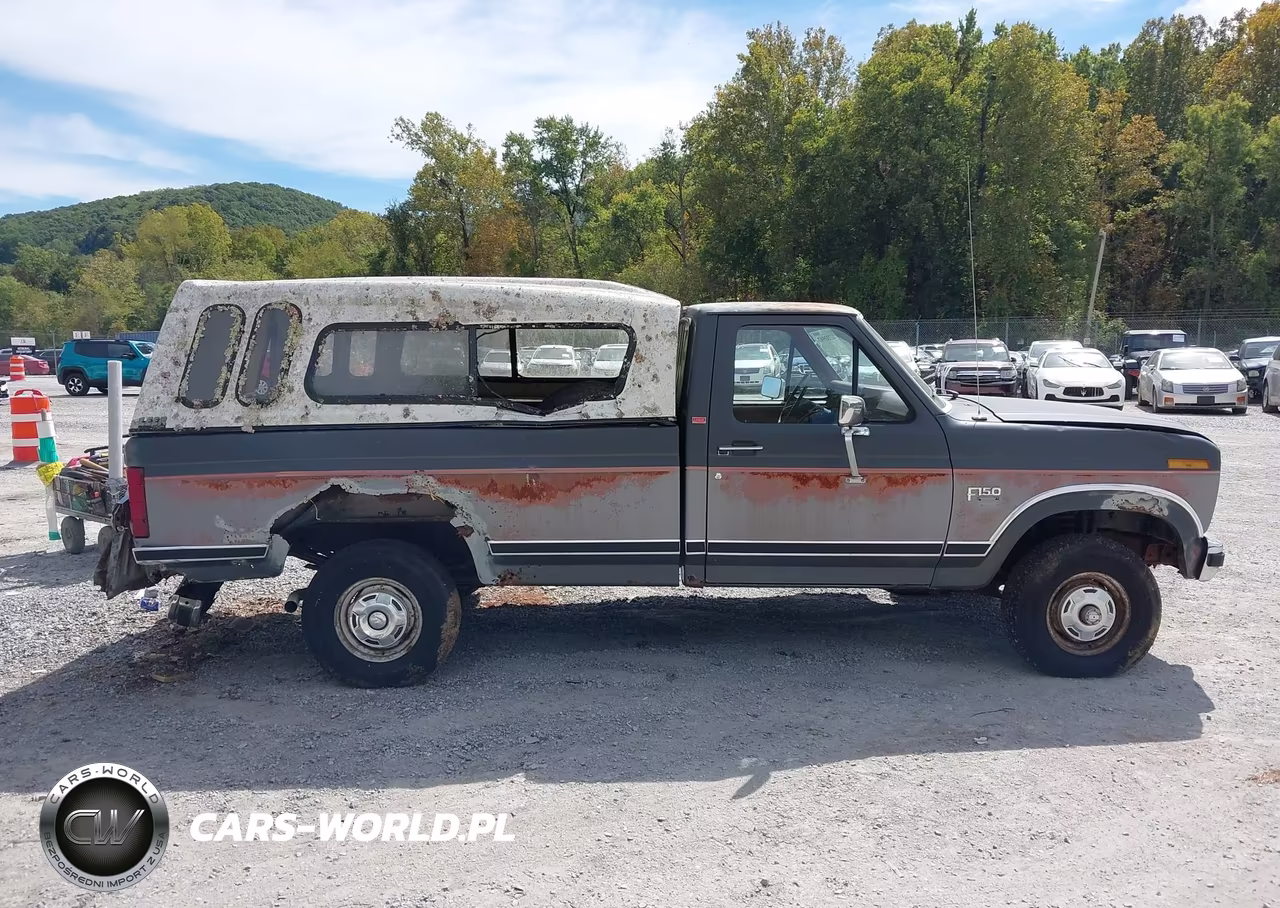 1986 Ford F150 VIN:1FTEF14N3GNA06159 - 13