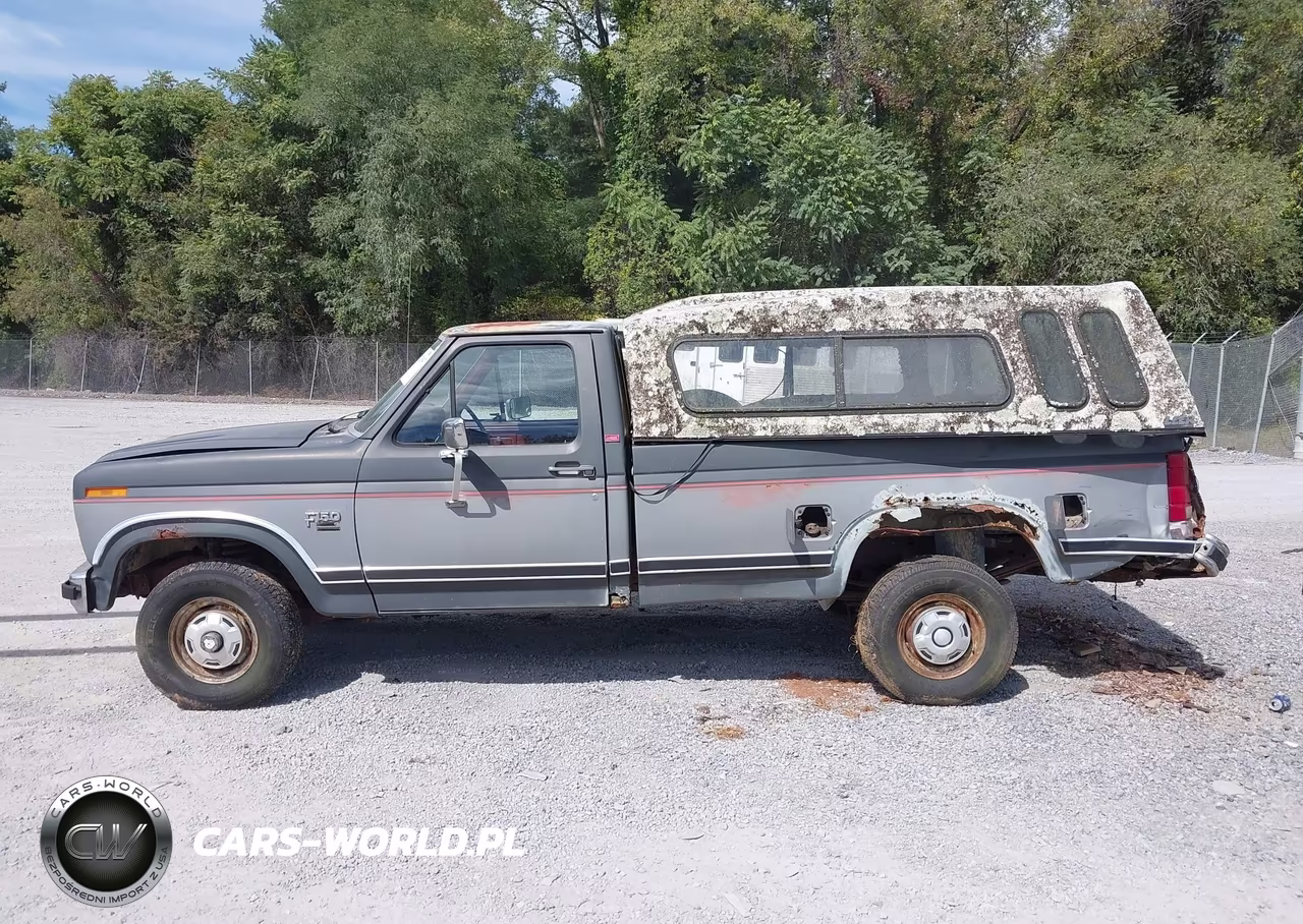 1986 Ford F150 VIN:1FTEF14N3GNA06159 - 14