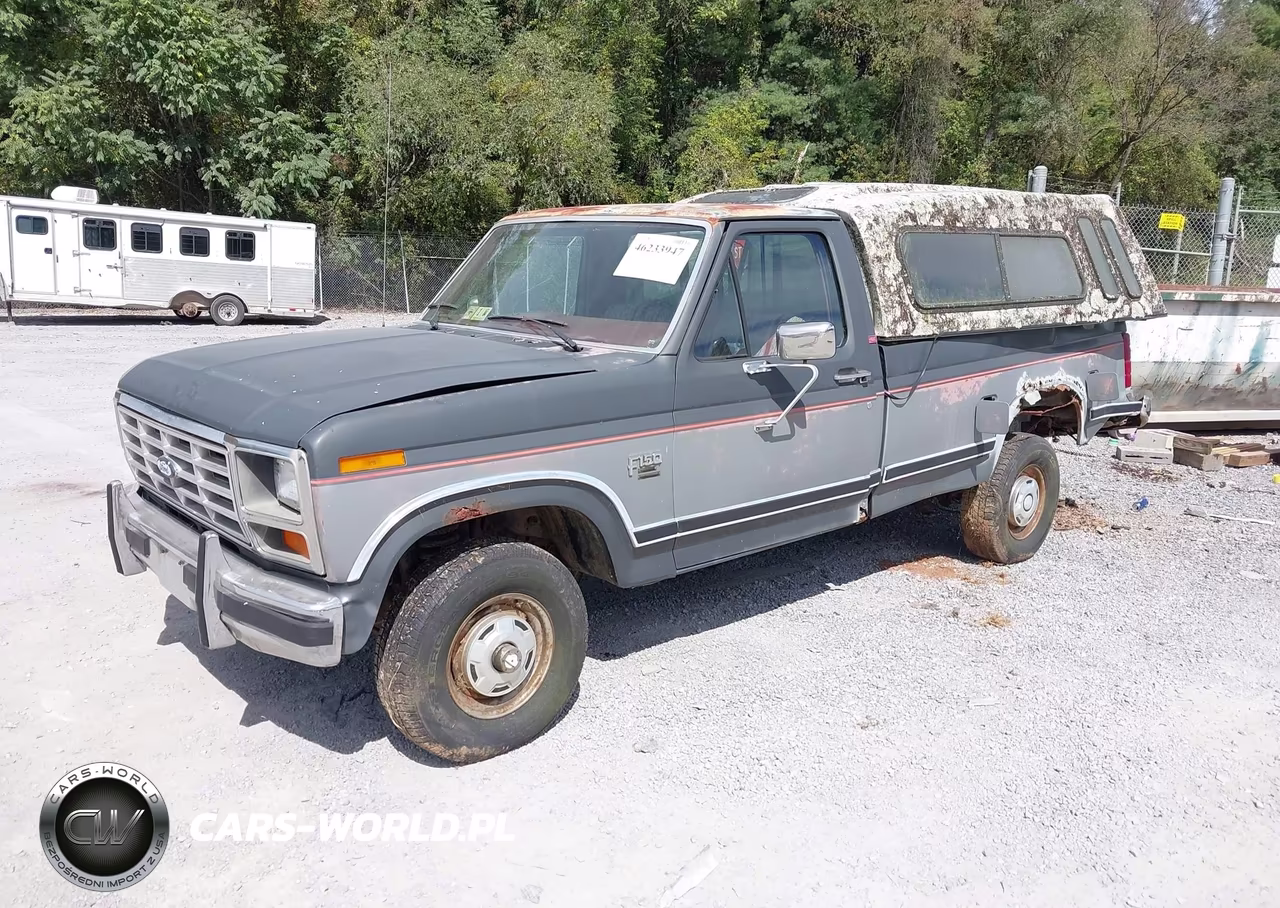 1986 Ford F150 VIN:1FTEF14N3GNA06159 - 2