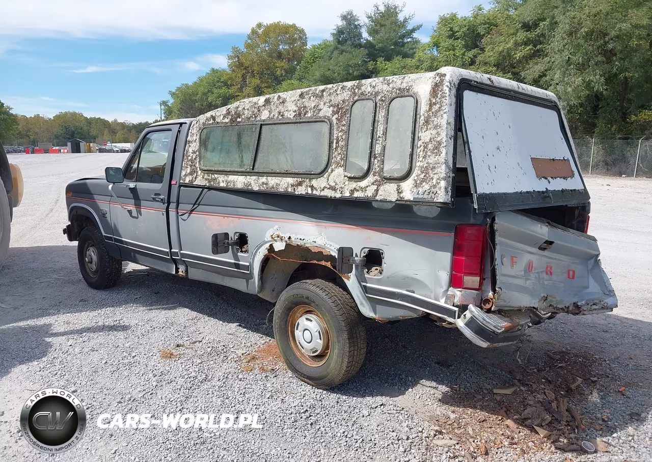 1986 Ford F150 VIN:1FTEF14N3GNA06159 - 3