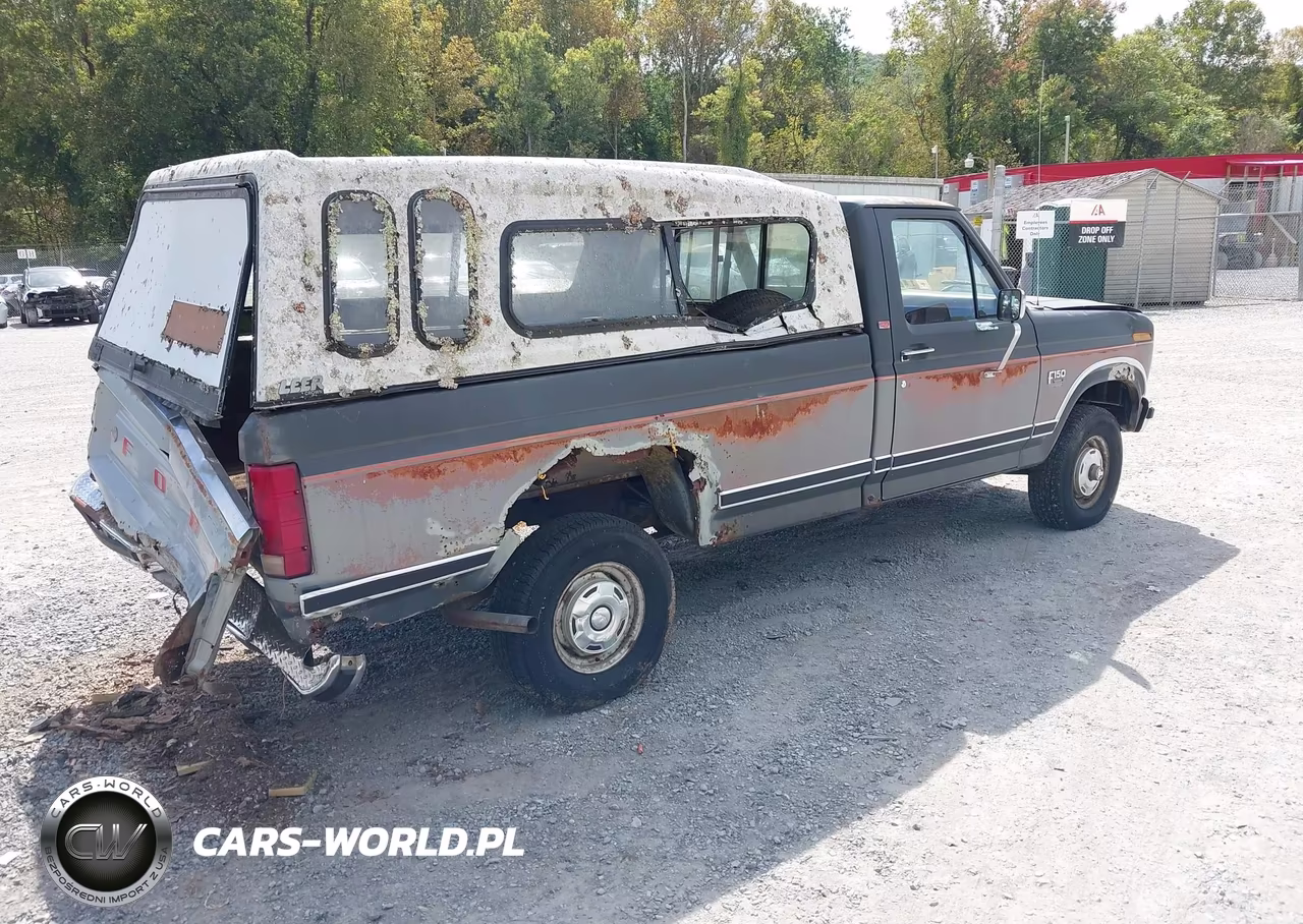 1986 Ford F150 VIN:1FTEF14N3GNA06159 - 4