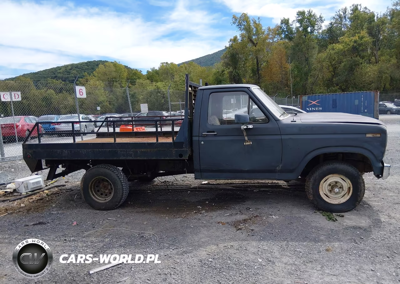 1986 Ford F150 VIN:1FTEF14Y9GNB38806 - 13