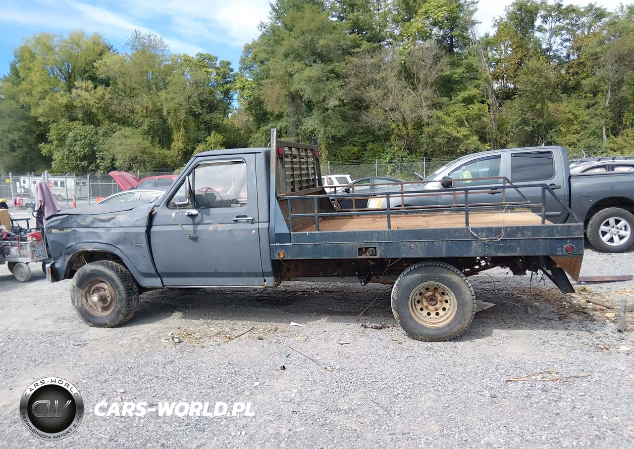 1986 Ford F150 VIN:1FTEF14Y9GNB38806 - 14