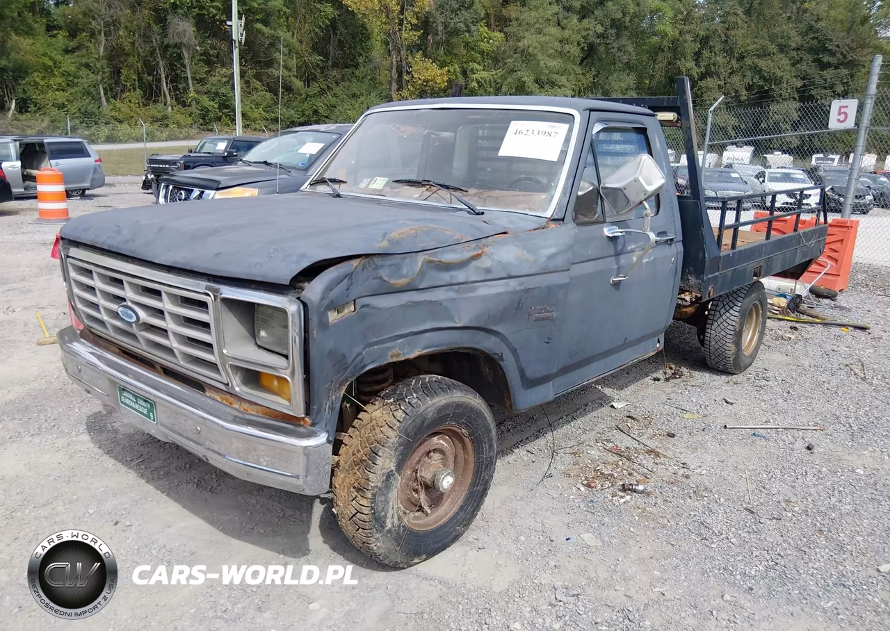 1986 Ford F150 VIN:1FTEF14Y9GNB38806 - 2