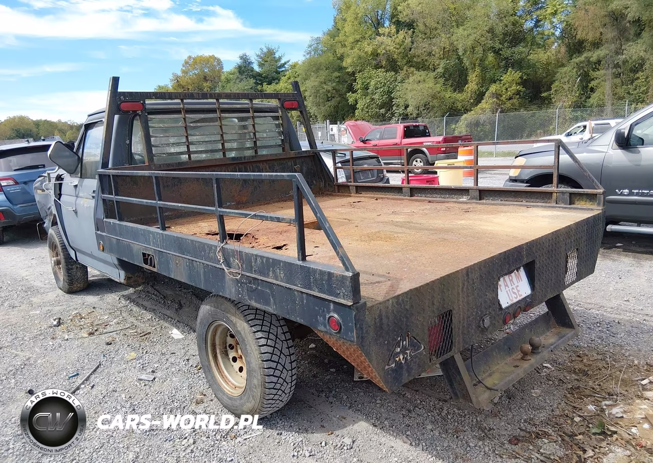1986 Ford F150 VIN:1FTEF14Y9GNB38806 - 3