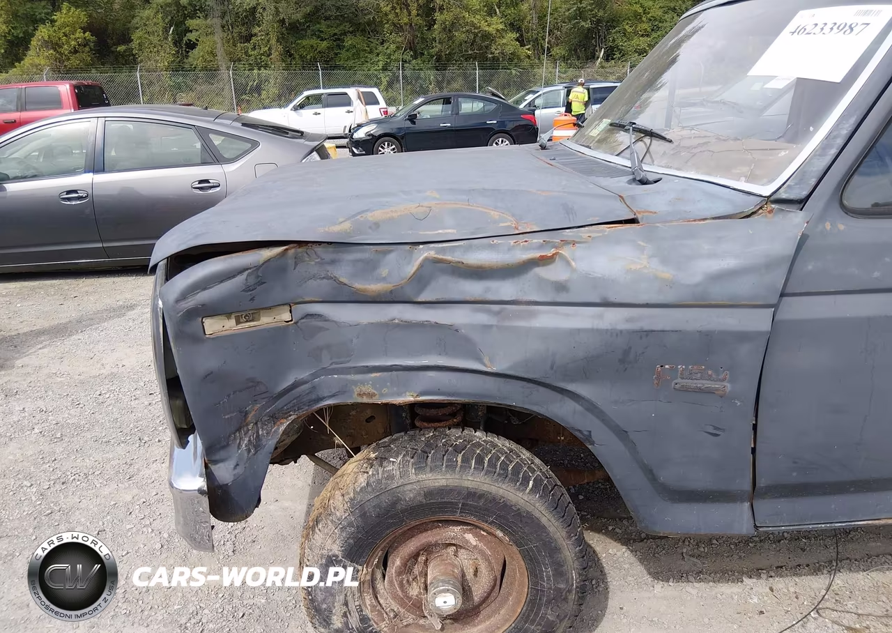 1986 Ford F150 VIN:1FTEF14Y9GNB38806 - 6