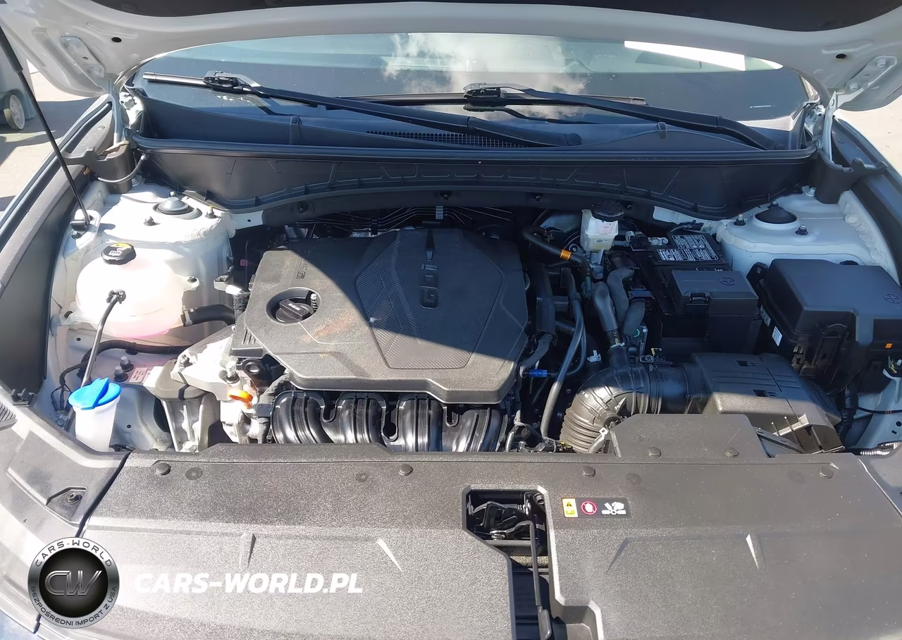 2025 Hyundai Tucson Sel VIN:5NMJB3DE2SH525330 - 10
