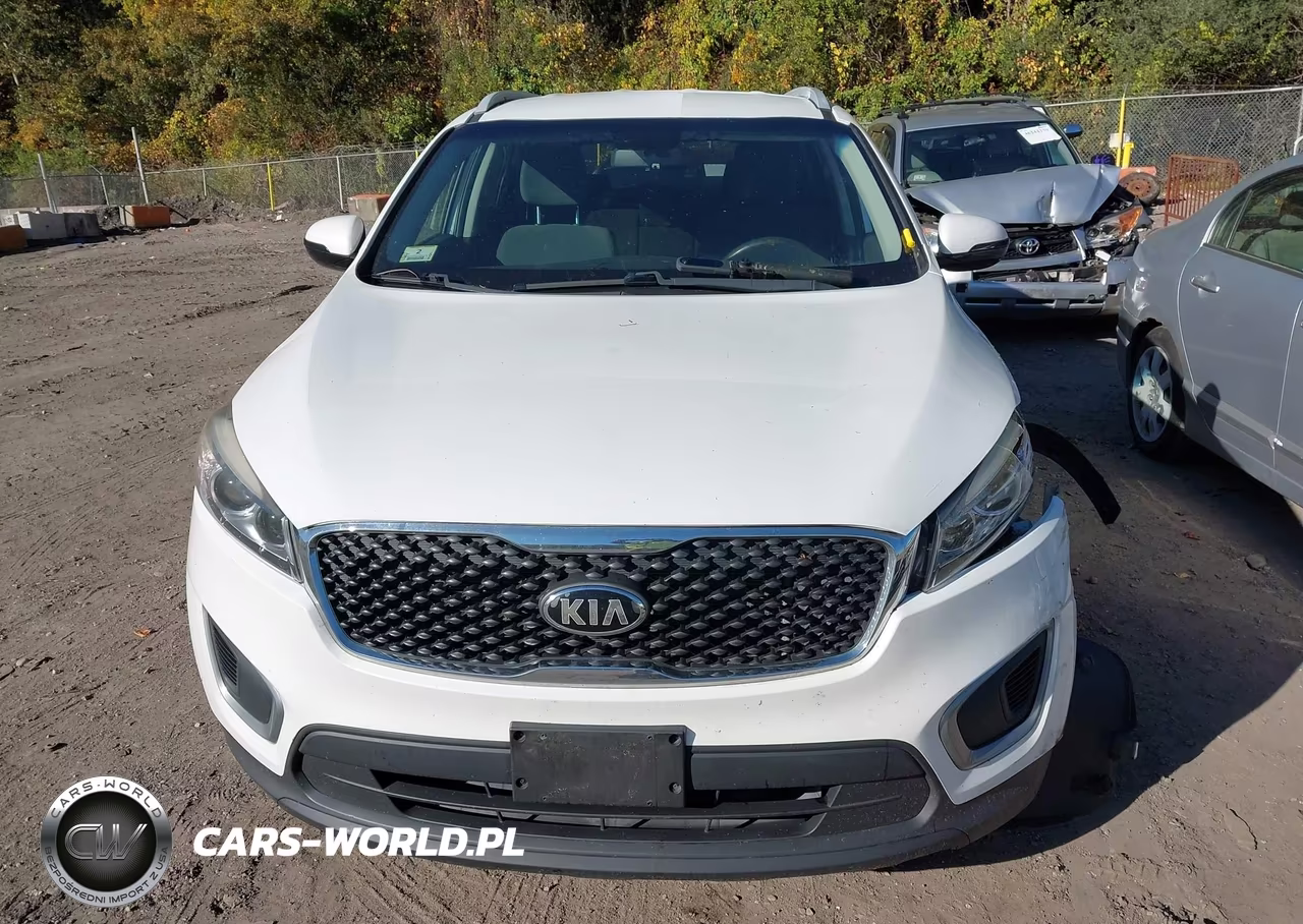 2016 Kia Sorento 2.4L Lx VIN:5XYPGDA38GG168922 - 12