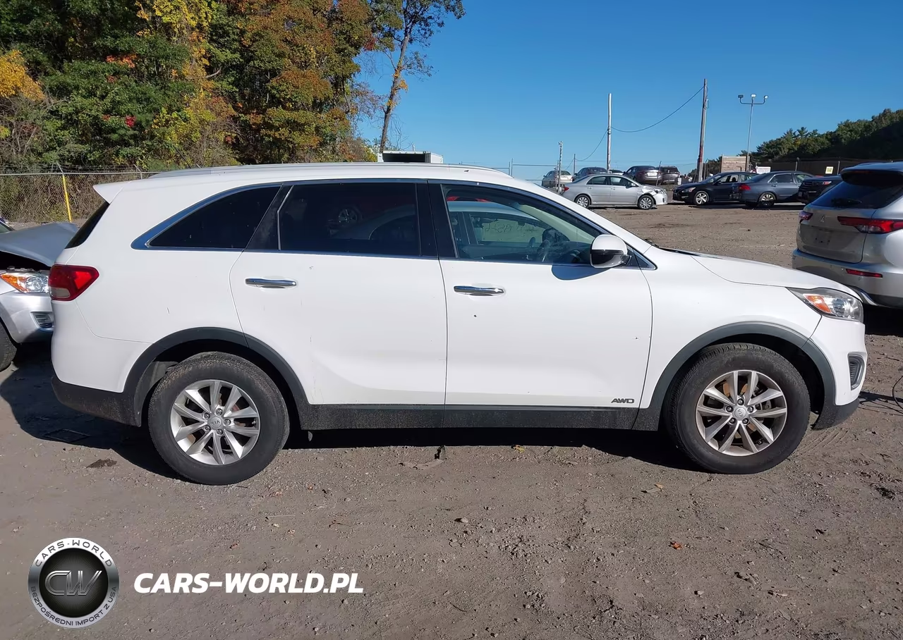 2016 Kia Sorento 2.4L Lx VIN:5XYPGDA38GG168922 - 13