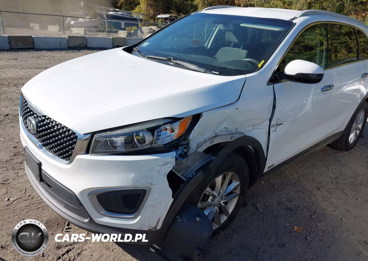 2016 Kia Sorento 2.4L Lx VIN:5XYPGDA38GG168922 - 6