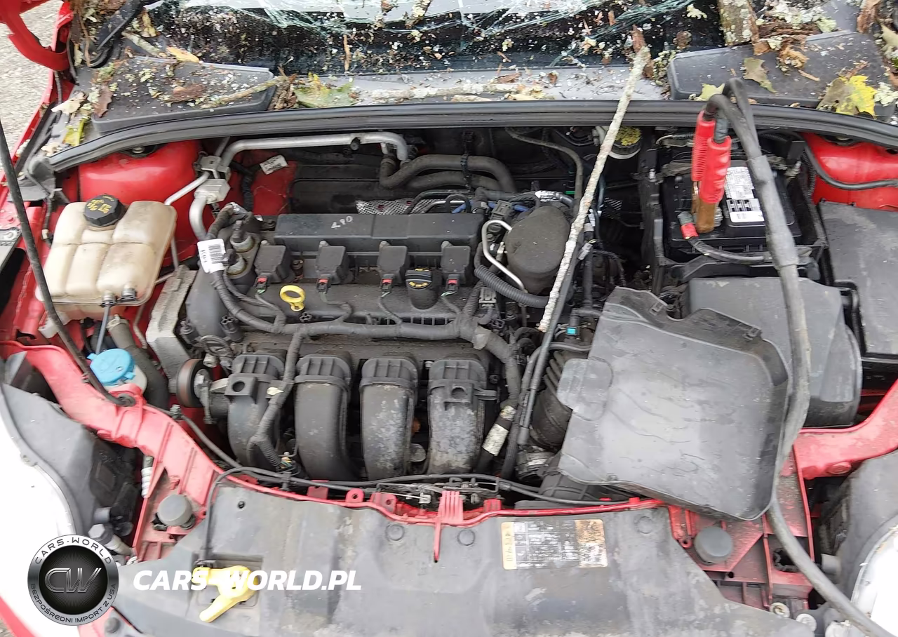 2014 Ford Focus Se VIN:1FADP3F25EL408223 - 10