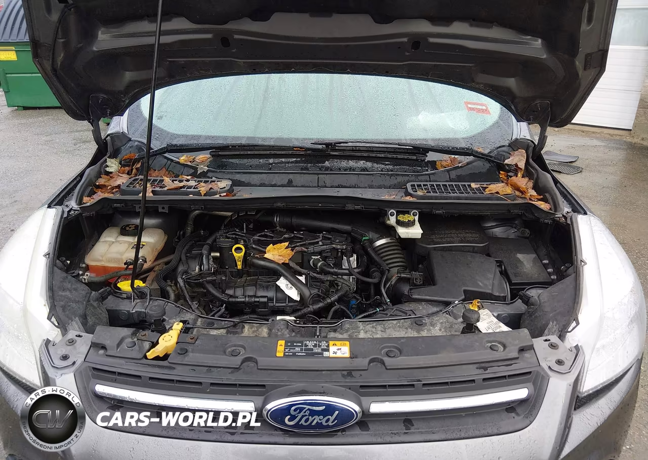 2013 Ford Escape Se VIN:1FMCU9GX5DUA53621 - 10