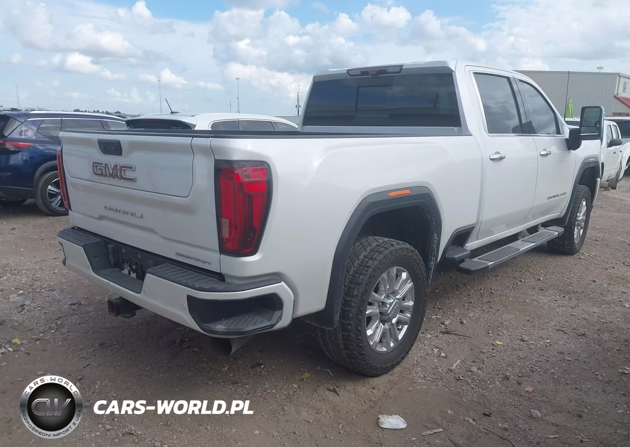 2020 GMC Sierra 2500Hd 4Wd Standard Bed Denali VIN:1GT49REY1LF280412 - 4