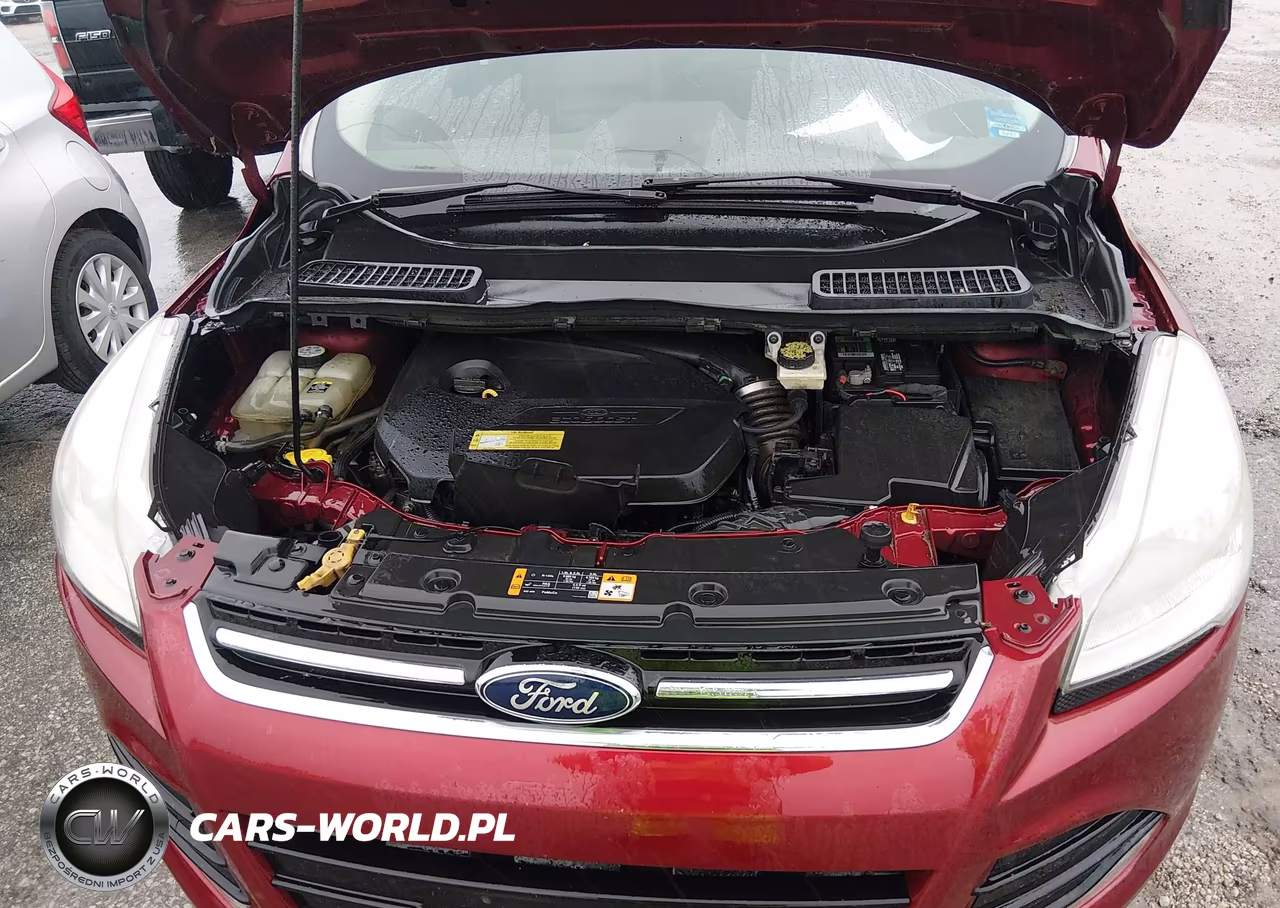 2013 Ford Escape Sel VIN:1FMCU0HX6DUB45508 - 10