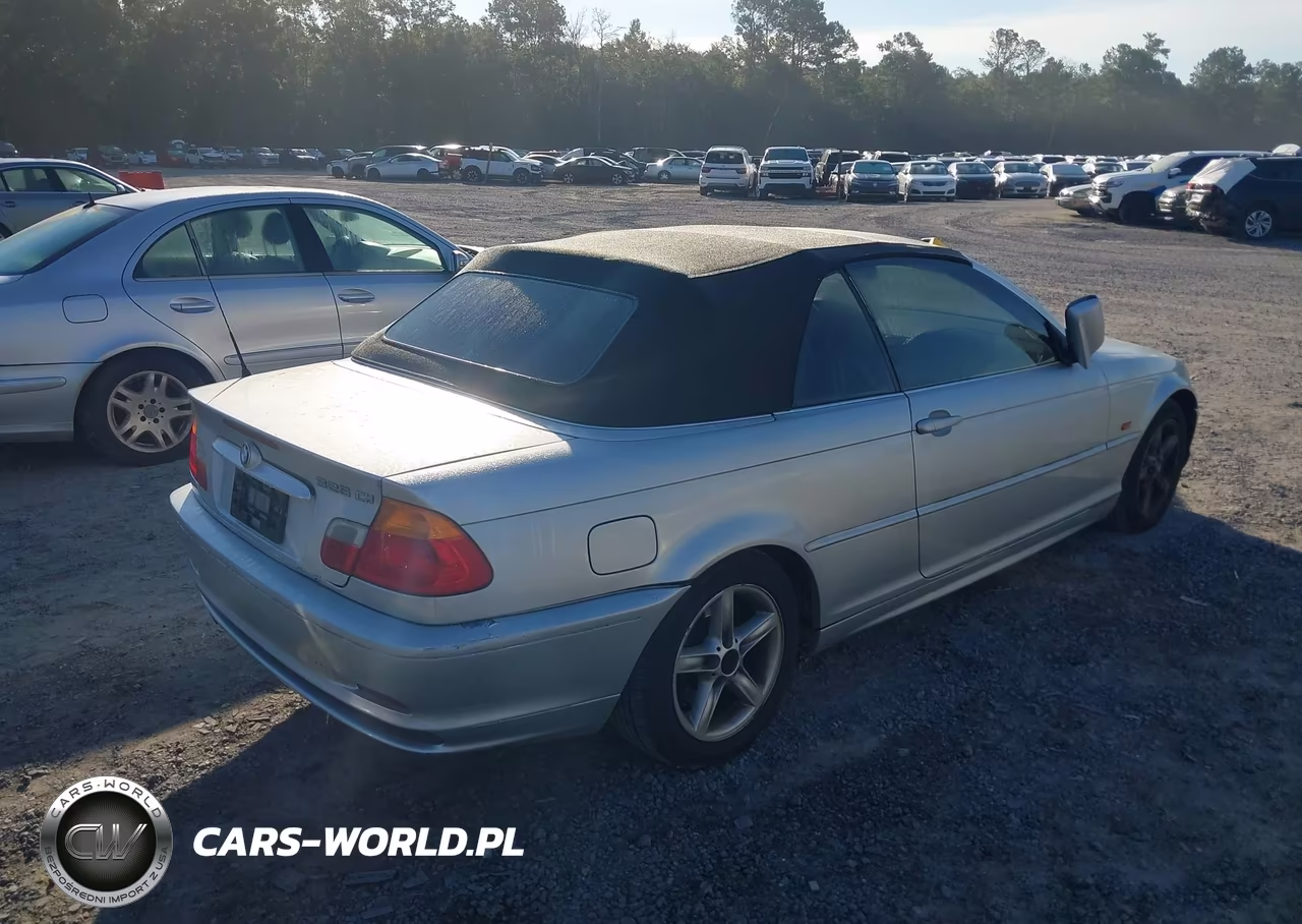 2002 BMW 325Ci VIN:WBABS33422JY59362 - 4