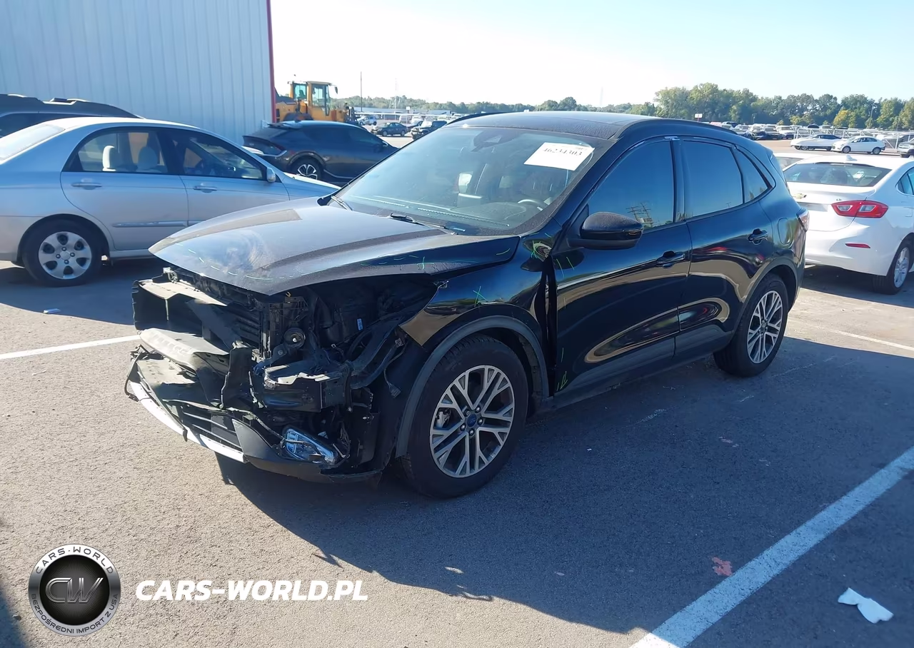 2022 Ford Escape Sel VIN:1FMCU0H65NUB65936 - 2