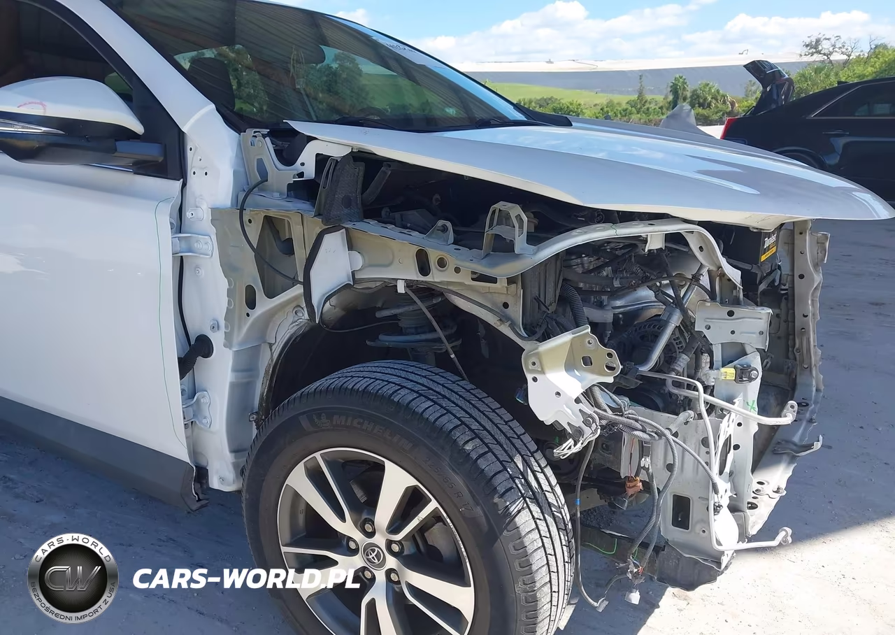 2016 Toyota Rav4 Xle VIN:2T3RFREV1GW483535 - 18